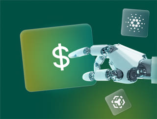 Strumento di monitoraggio per la crescita del portafoglio di criptovalute visualizzando i guadagni e l'importo disponibile su Snella Fondovia